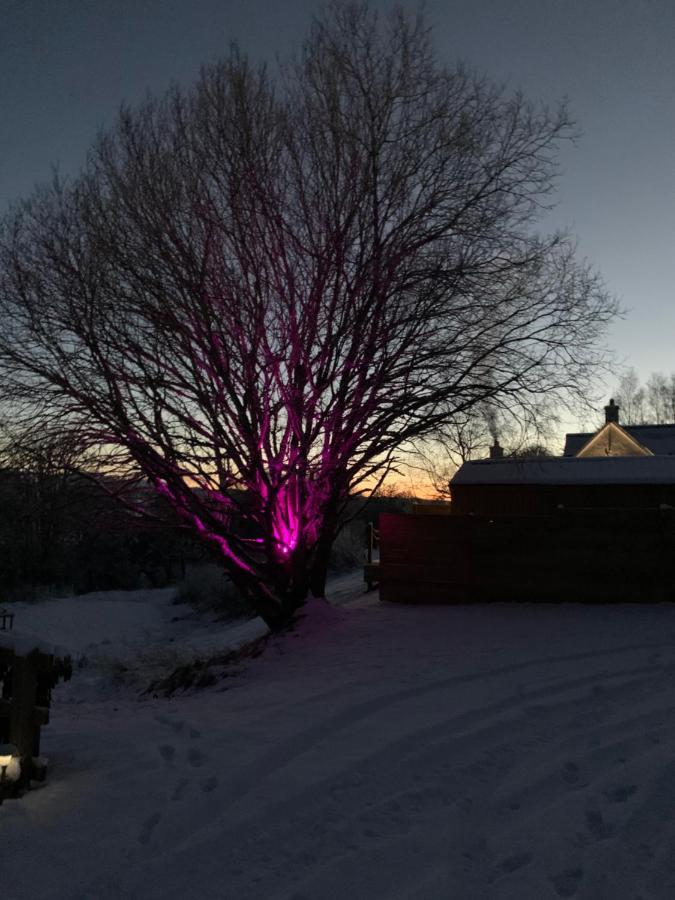 River Huts, Highland River Retreat With Hot Tub Inverness Exteriör bild